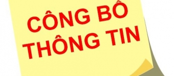 Báo cáo tài chính Quý 2 năm 2026 và giải trình biến động lợi nhuận